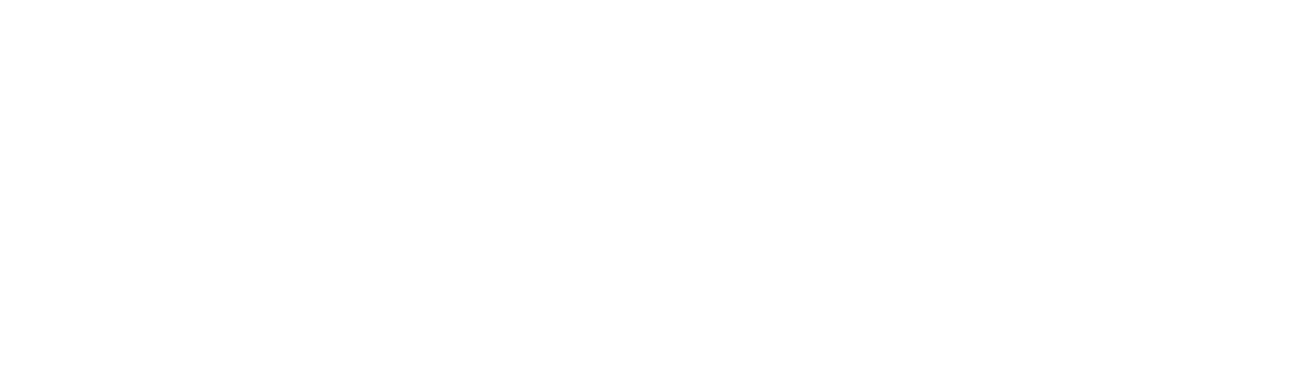 Platinum Financial Partners