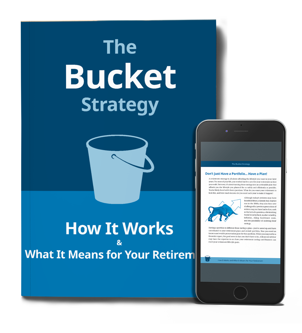 Platinum Financial Partners - The Bucket Strategy